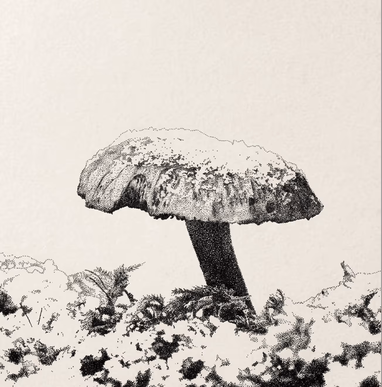 137Notes Profile Picture