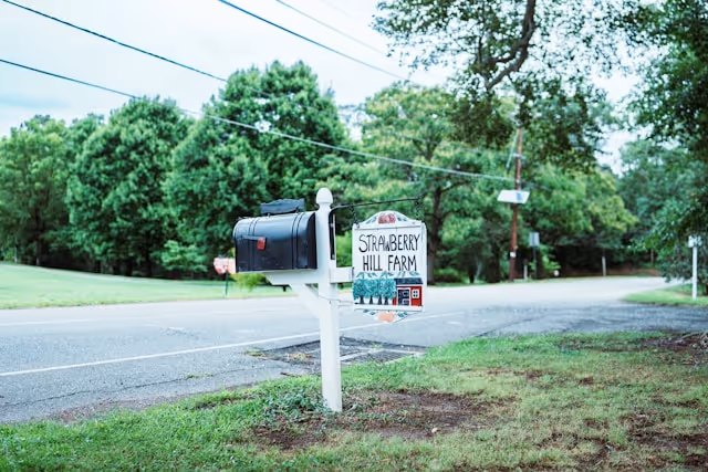 Anything You Want book cover