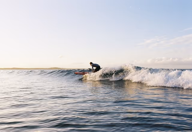 Communication collaboration illustration