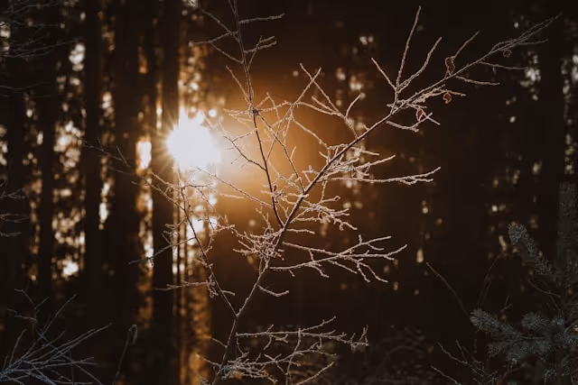 Atomic Habits book cover