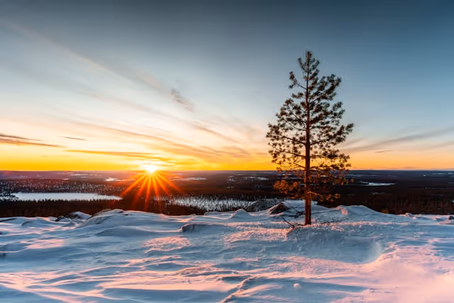 Bird by Bird book cover